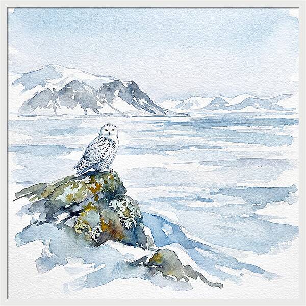 Snowy Owl In Winter Landscape