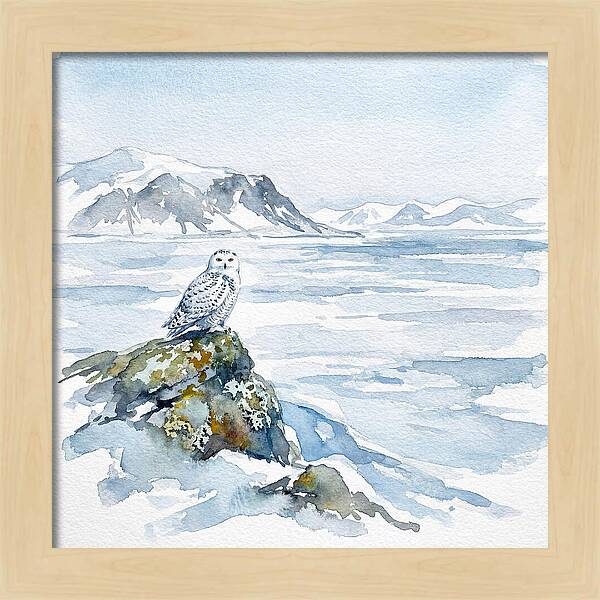 Snowy Owl In Winter Landscape