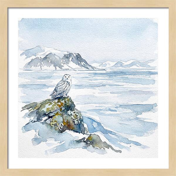 Snowy Owl In Winter Landscape
