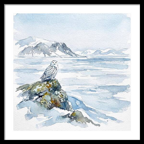Snowy Owl In Winter Landscape