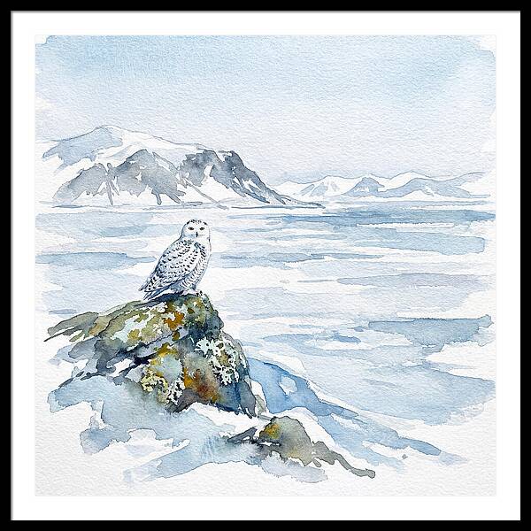 Snowy Owl In Winter Landscape