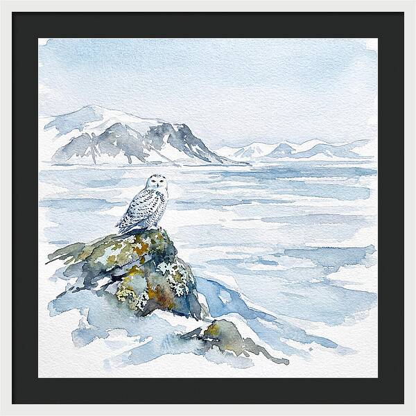 Snowy Owl In Winter Landscape