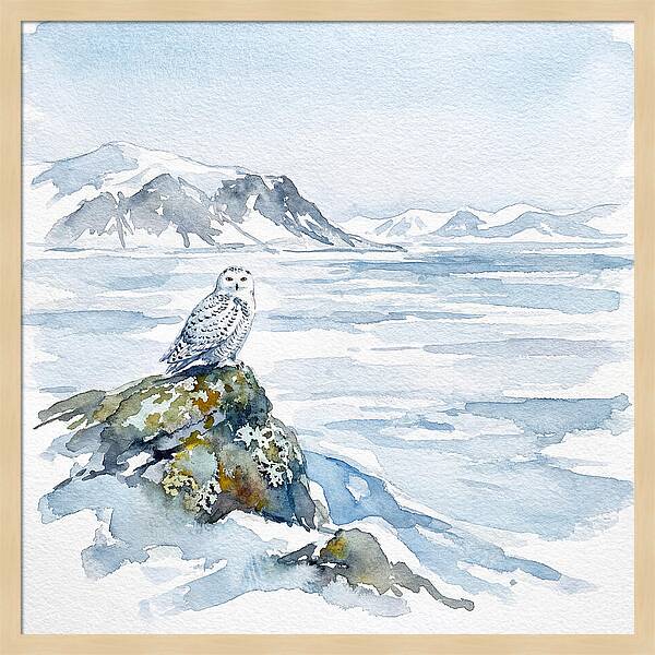 Snowy Owl In Winter Landscape