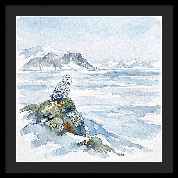Snowy Owl In Winter Landscape