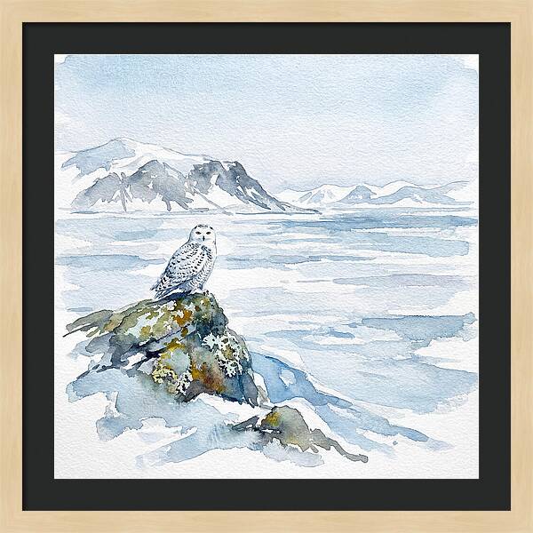 Snowy Owl In Winter Landscape