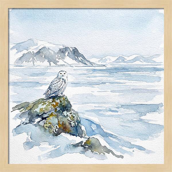 Snowy Owl In Winter Landscape