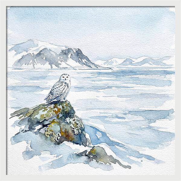 Snowy Owl In Winter Landscape
