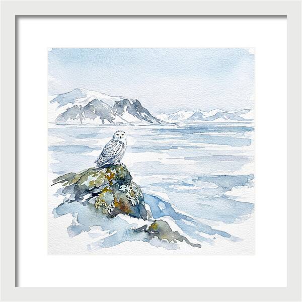 Snowy Owl In Winter Landscape