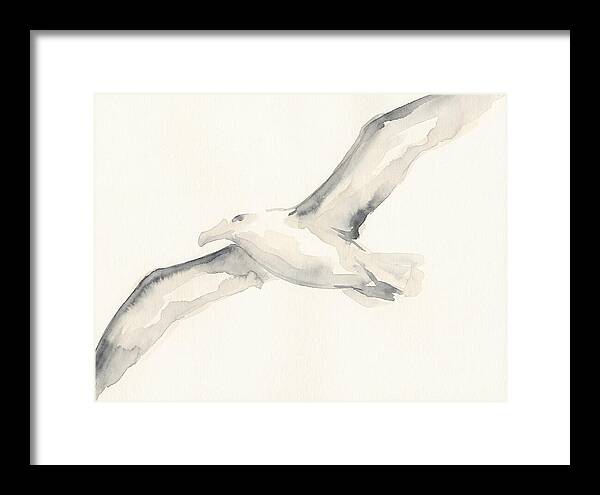 Soaring Albatross In Watercolor
