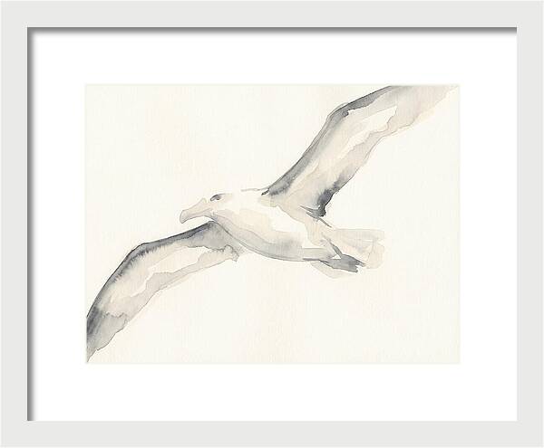 Soaring Albatross In Watercolor