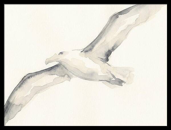 Soaring Albatross In Watercolor