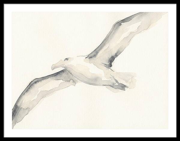 Soaring Albatross In Watercolor