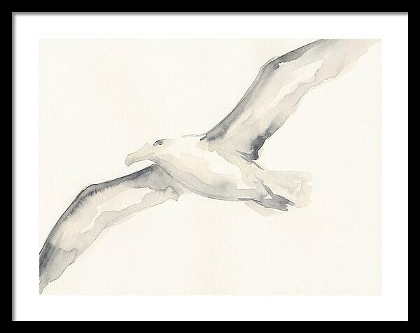 Soaring Albatross In Watercolor