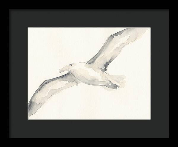 Soaring Albatross In Watercolor