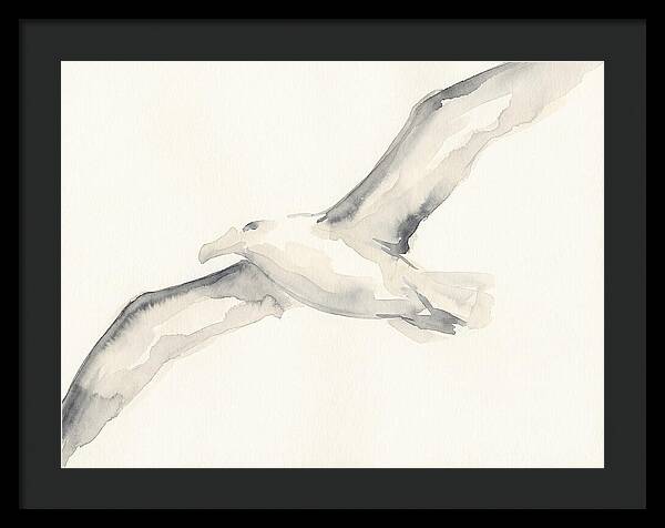 Soaring Albatross In Watercolor