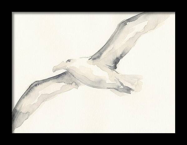 Soaring Albatross In Watercolor