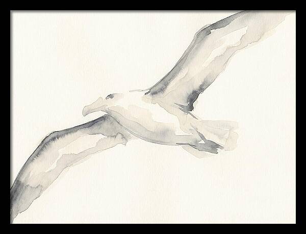 Soaring Albatross In Watercolor