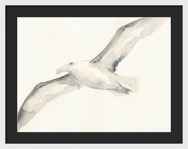 Soaring Albatross In Watercolor