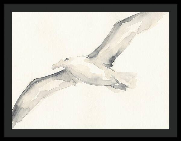 Soaring Albatross In Watercolor
