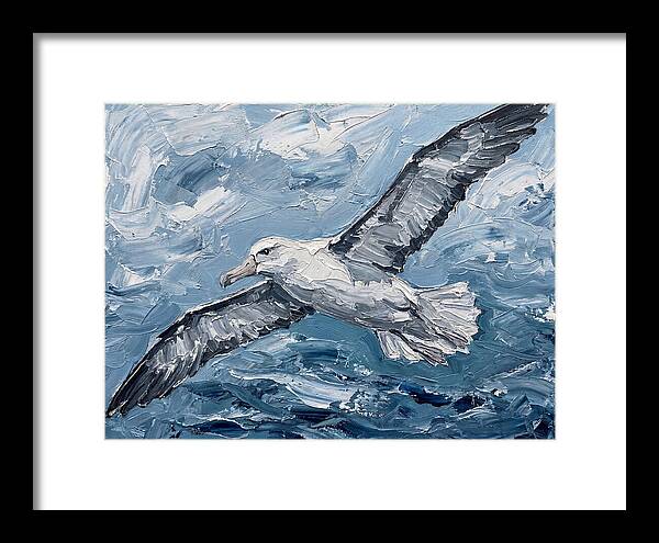 Soaring Albatross Over Waves