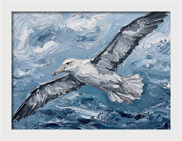Soaring Albatross Over Waves