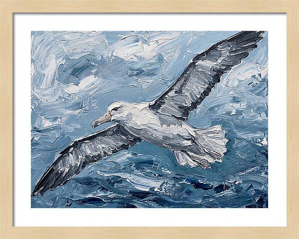 Soaring Albatross Over Waves