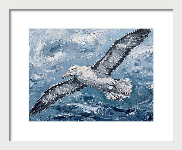 Soaring Albatross Over Waves