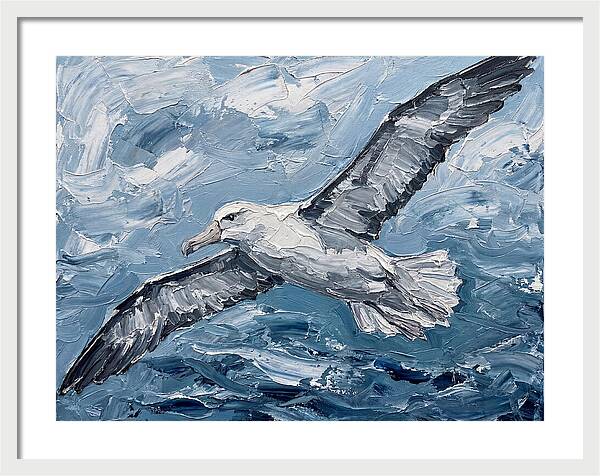 Soaring Albatross Over Waves