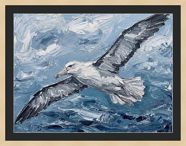 Soaring Albatross Over Waves