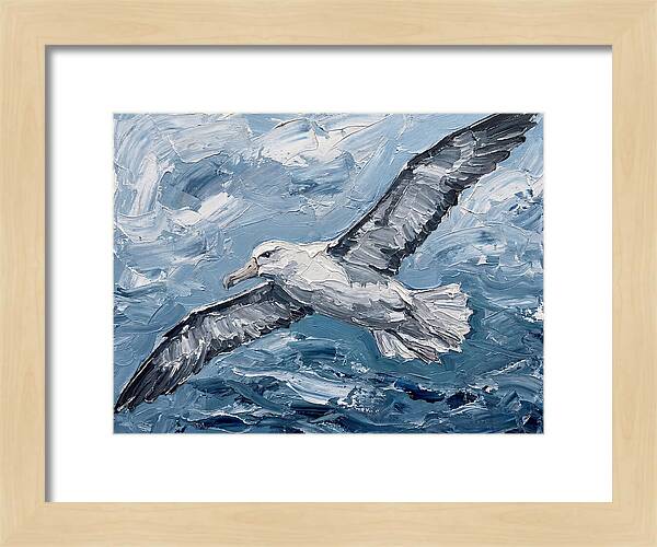 Soaring Albatross Over Waves