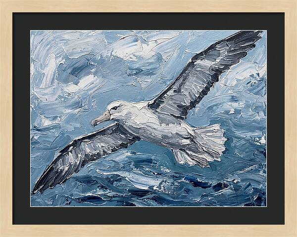 Soaring Albatross Over Waves
