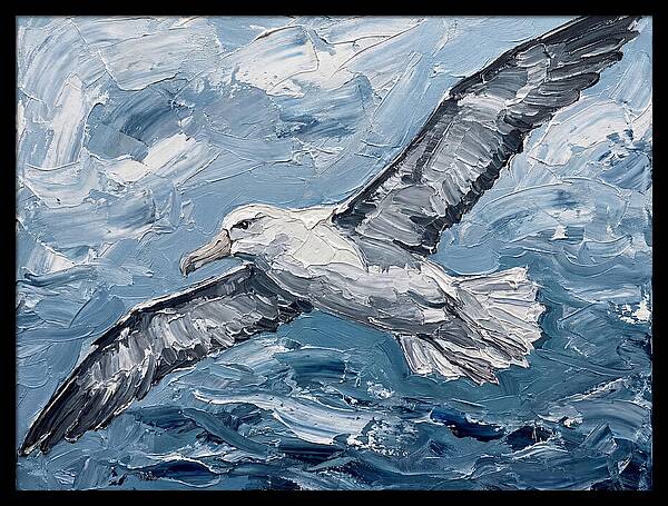 Soaring Albatross Over Waves