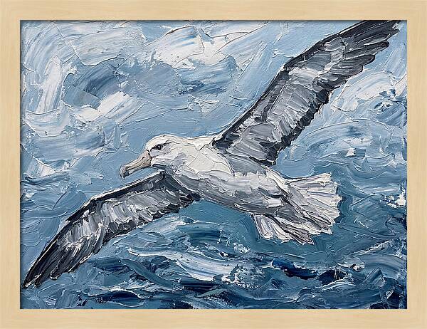 Soaring Albatross Over Waves