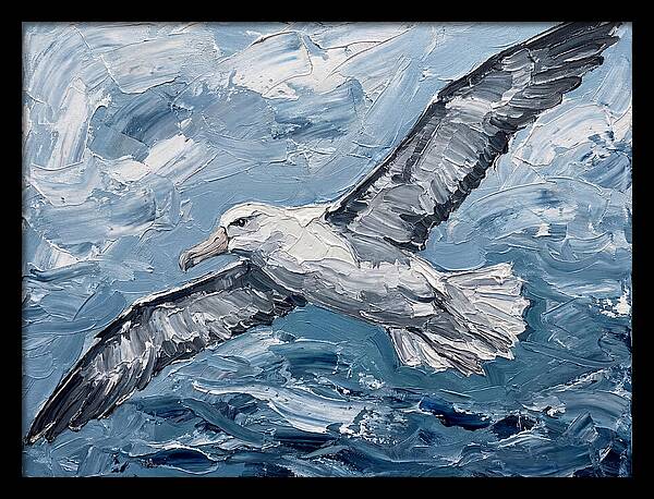 Soaring Albatross Over Waves