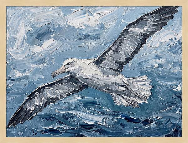 Soaring Albatross Over Waves