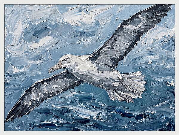 Soaring Albatross Over Waves