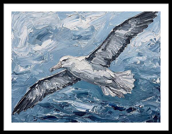 Soaring Albatross Over Waves