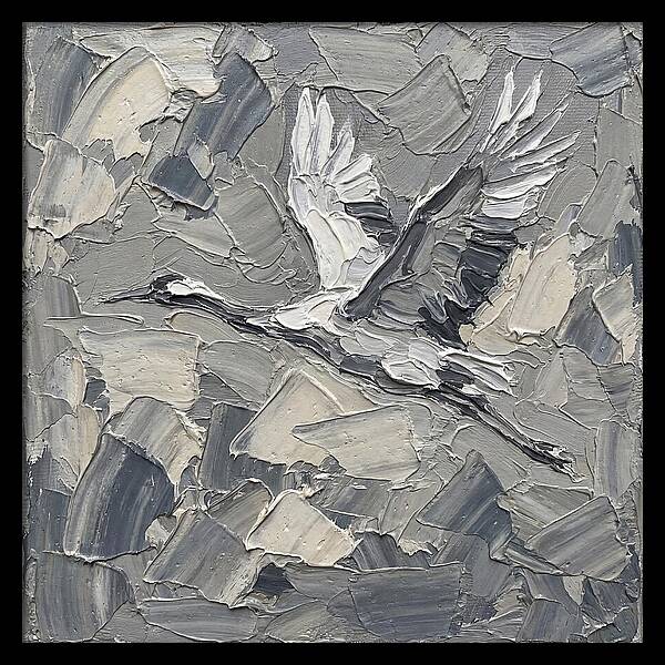 Soaring Crane In Grayscale