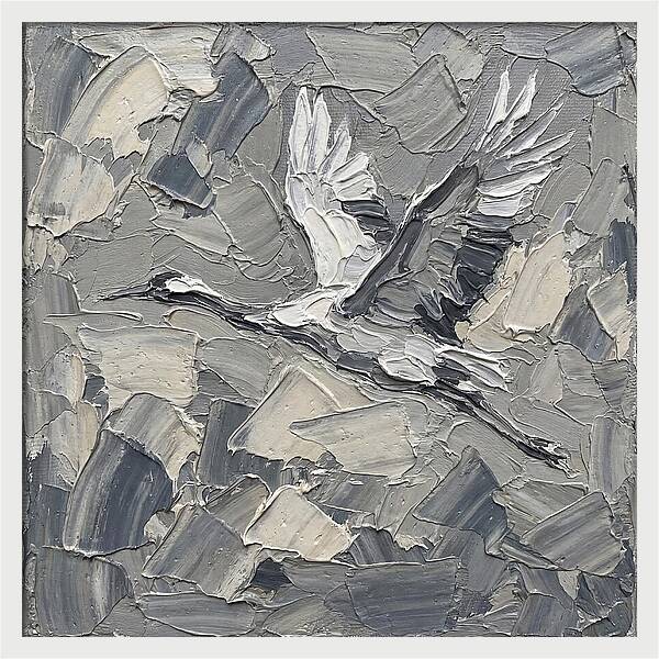Soaring Crane In Grayscale
