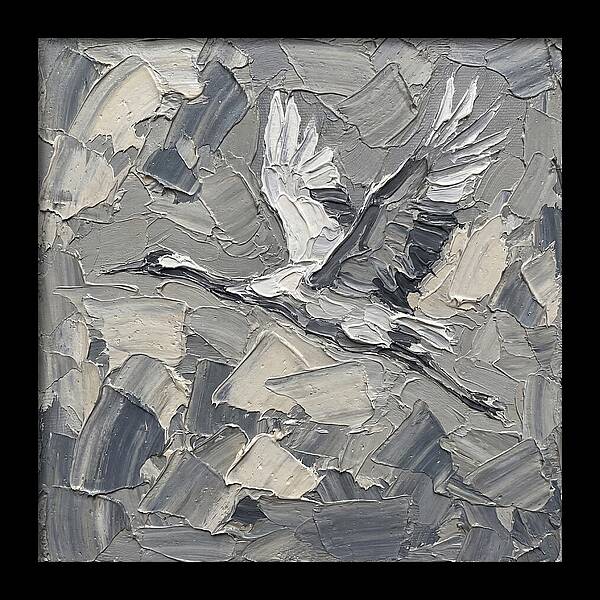 Soaring Crane In Grayscale