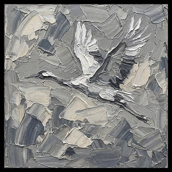 Soaring Crane In Grayscale