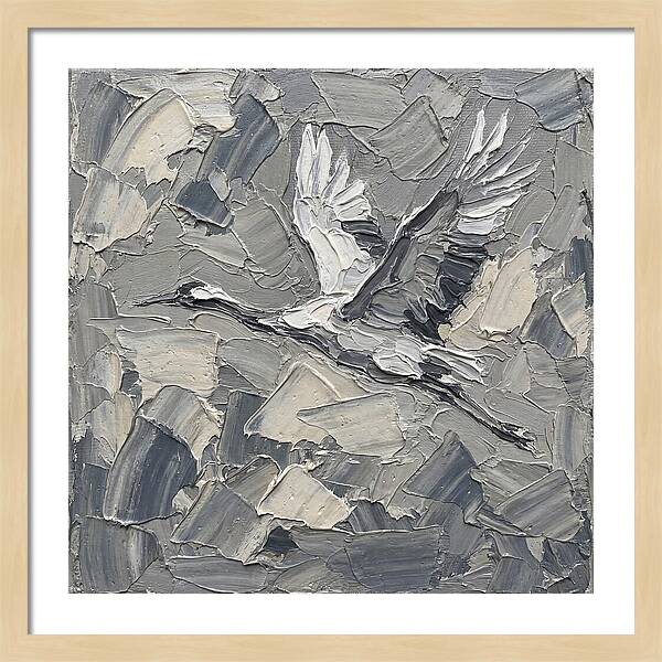 Soaring Crane In Grayscale