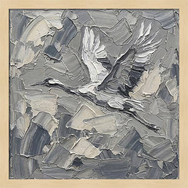 Soaring Crane In Grayscale