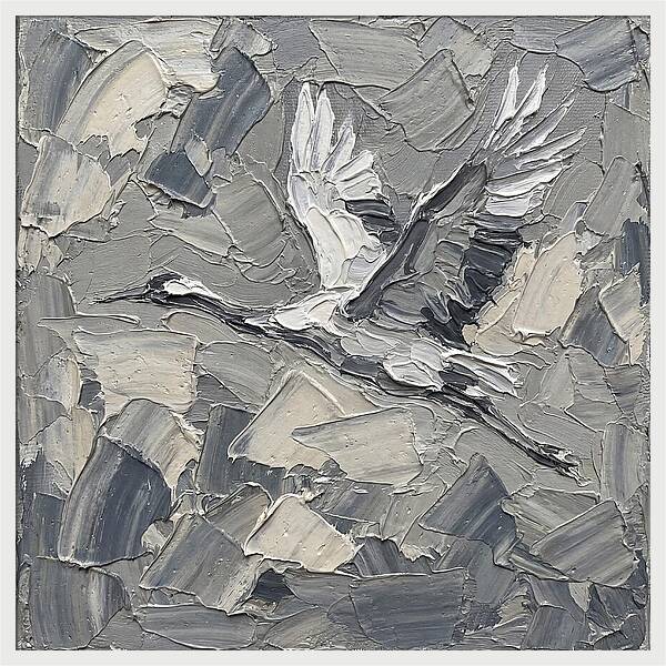 Soaring Crane In Grayscale