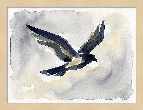 Soaring Falcon In Watercolor