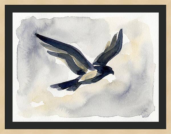 Soaring Falcon In Watercolor