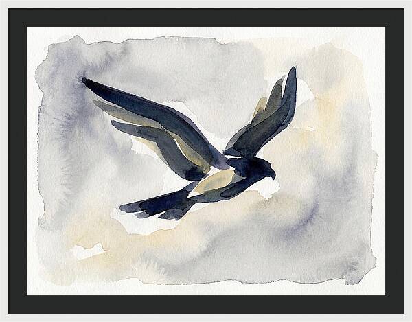 Soaring Falcon In Watercolor