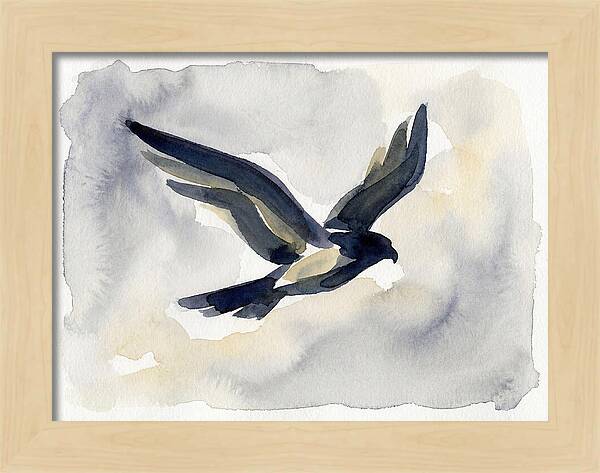 Soaring Falcon In Watercolor