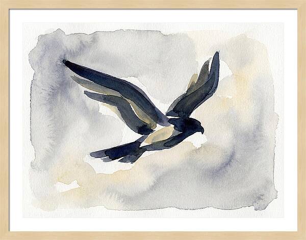 Soaring Falcon In Watercolor