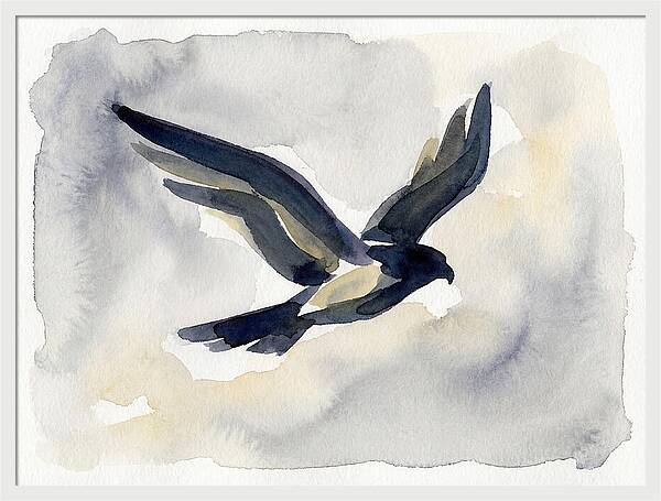 Soaring Falcon In Watercolor